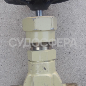 521-03.419 Клапан запорный штуцерный проходной сальниковый ДУ-10, РУ-250
