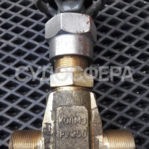 ВН 521-11 Клапан запорный штуцерный проходной ДУ-250, РУ-6